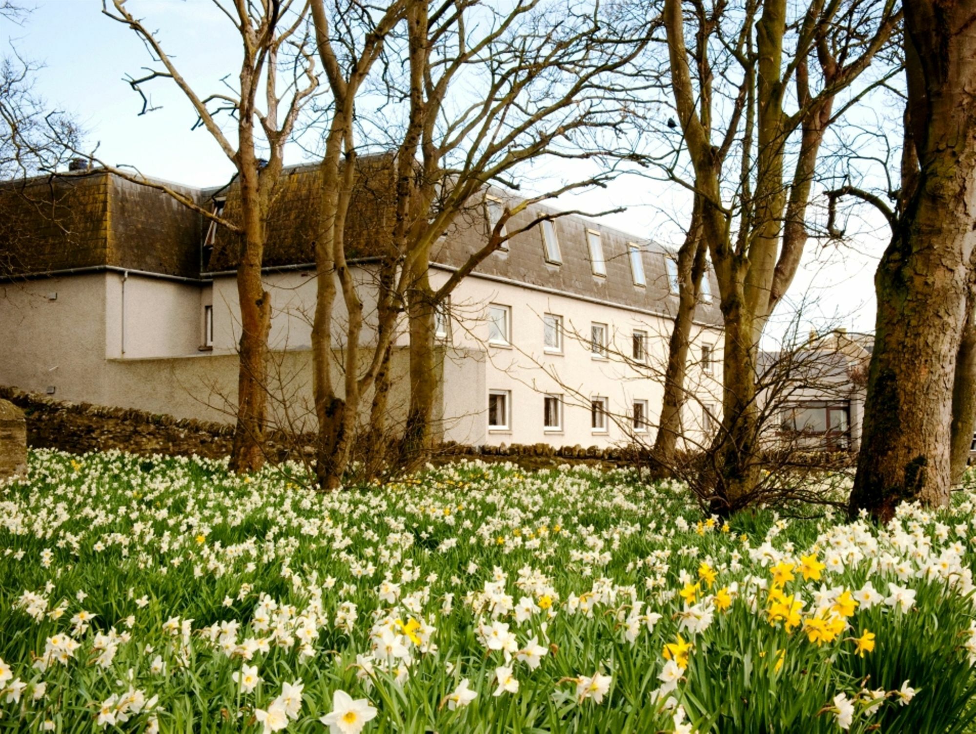 Norseman Hotel Wick (Highlands) Exterior foto